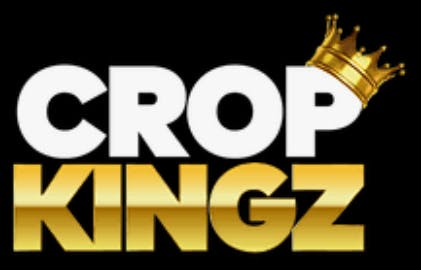 Crop Kingz Premium Organic Wraps - Havana Gold