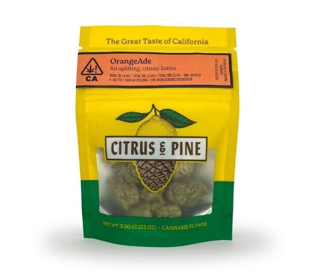 Citrus & Pine Eighth 3.5g - Orangeade