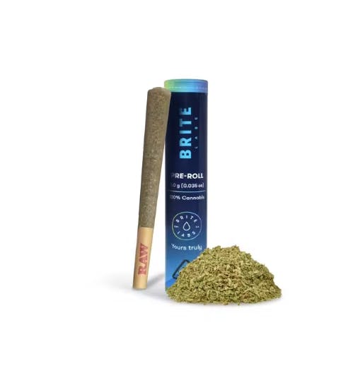 Brite Labs - Pineapple Punch - Pre-Roll - 1g