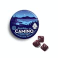 Camino Midnight Blueberry "Sleep" CBN Gummies - Camino