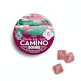 Camino Sours 10mg Watermelon Spritz "Uplifting" Gummies - Camino