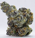 APPLE FRITTER 3.5G