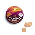 Camino Sours 10:10 CBD Orchard Peach "Balance" Gummies - Caminoo