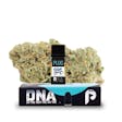 Blue Dream (S) DNA Pod - 1g - Blue Dream (S)