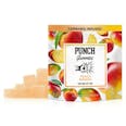 10 Pack Gummies (10mg ea) | Peach Mango
