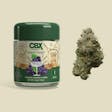 Grape Gasby by Cannabiotix ( CBX )