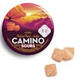 Orchard Peach 1:1 CBD Gummies - Camino Sours - Orchard Peach 1:1