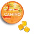 Mango 1:1 CBD Gummies - Camino - Mango 1:1 (H)