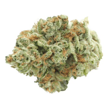 Skywalker OG - Jar - Indoor Flower