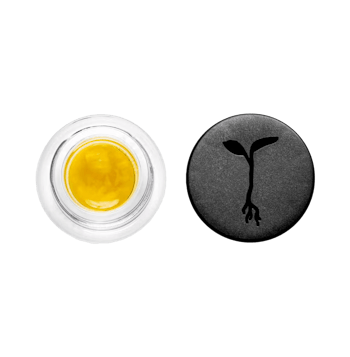 Ze Chem - Live Sauce - One Gram