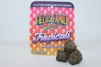 Tropicali - 3.5g Bag