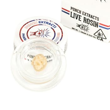Pharaoh's Hashburger Tier 4 Live Rosin Cold Cure Badder (1g)