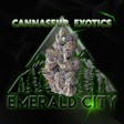 Emerald Elite - 1/8oz - Red Churros - (Cannasieur Exotics)