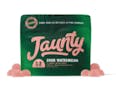 Sour Watermelon 10pk gummies - jydg25126e