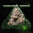 Emerald Elite - 1/8oz - Duraznos - (Cannasieur Exotics)