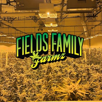 RAINBOWBELTZ - 14G Bag