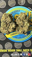 ^TSE Rainbow Sherb Greenhouse Half OZ (14g) - 14g