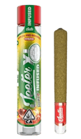 Apples & Bananas - XL Infused - Pre-roll - Single
